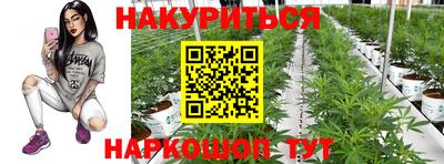 mdma Аргун