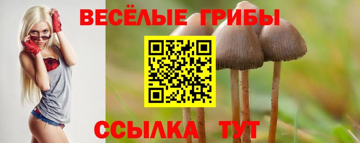 Псилоцибиновые грибы Cubensis  Вход с VPN  Галлюциногенные грибы мицелий  Верхняя Пышма 